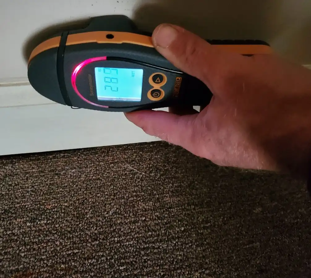 Moisture detection at baseboard during Burst Pipe Cleanup in Newark